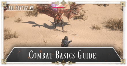 Combat Basics Guide