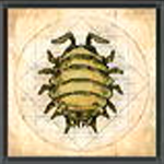 FF16 - Gil Bug Guide