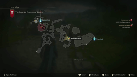 FF16 - What a Bird Wants Map