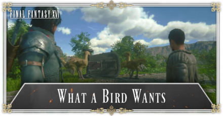 FF16 - What a Bird Wants