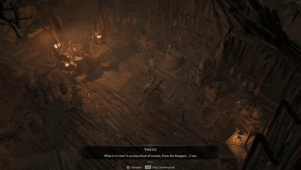 Diablo 4 - Talk to Timue