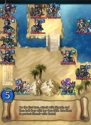 Vacation Battlemaidens Fire Emblem Heroes FEH