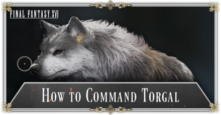 How to Command Torgal