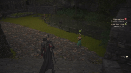 FF16 - Report to the Veil