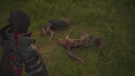 FF16 - Bury the fallen Bearers