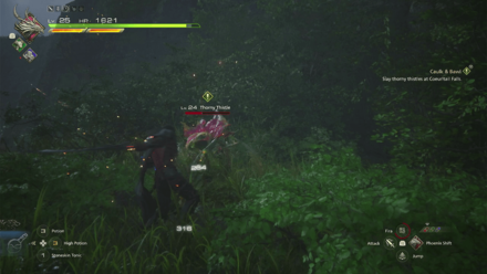 FF16 - Thorny Thistles