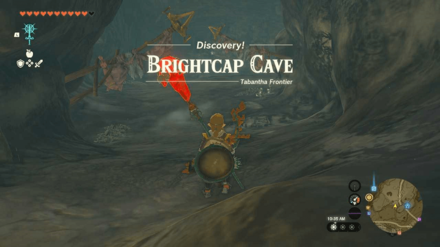 Zelda TotK - Frostbite Shirt Step #3