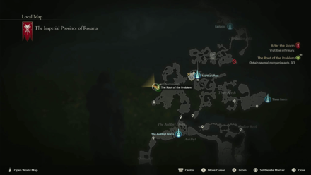 FF16 - Search northern Rosaria for morganbeards