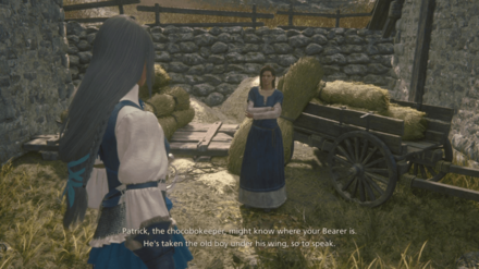 FINAL FANTASY 16 - Speak with the Villagers