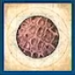 FF16 - Aevis Skin Guide