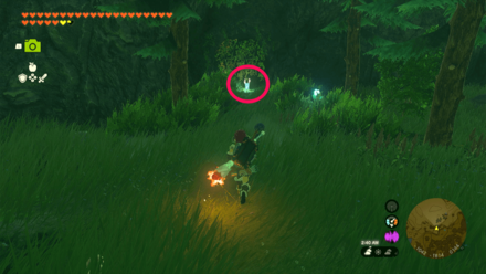 Tears of the Kingdom TOTK - Following Blupees