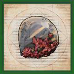 FF16 - Adamantoise Shell Guide