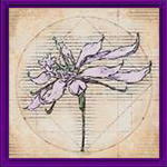 FF16 - Wild Wyvern Tail - How to Use and Get