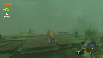 Tears of the Kingdom TOTK - Sneak During Rain