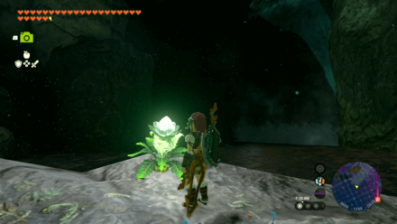 Tears of the Kingdom TOTK - Brightbloom Seeds