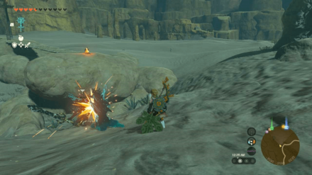 Zelda TotK - Vow of Sidon Attack