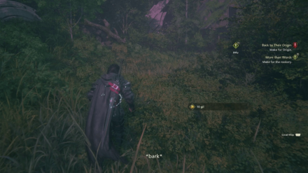 FF16 - Make for the rookery