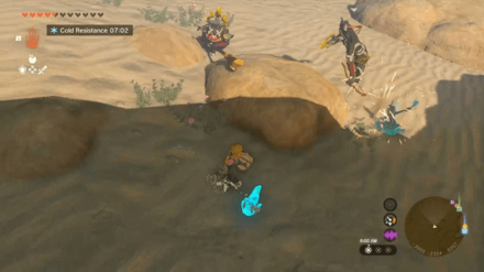 Zelda TotK - Vow of Riju Attack