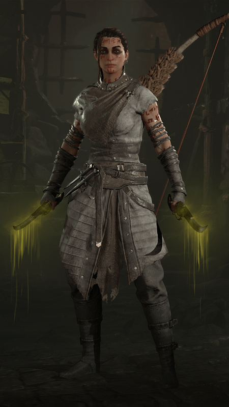 Diablo 4 - Leather Set Rogue Transmog