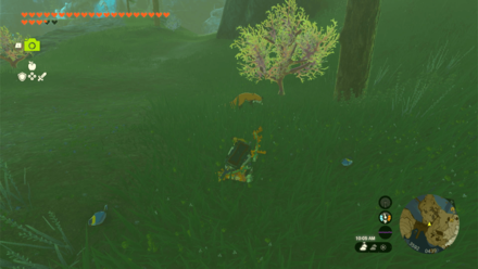 Tears of the Kingdom TOTK - Sneaking Towards Creatures