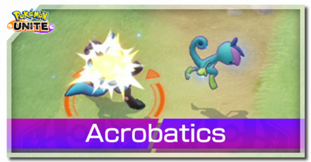 Pokemon UNITE - Acrobatics Move Banner