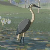 Blue-Winged Heron Image