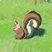 Bushy-Tailed Squirrel Image