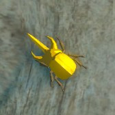 Energetic Rhino Beetle Image