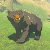 Honeyvore Bear Image