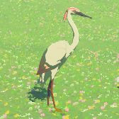 Pink Heron Image