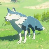 Maraudo Wolf Image