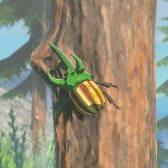 Rugged Rhino Beetle Image