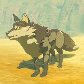 Wasteland Coyote Image