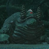 Blue-White Frox Image