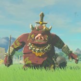 Tears of the Kingdom - Boss Bokoblin
