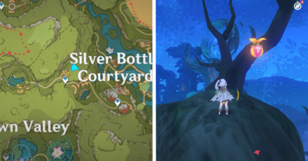 Genshin - Voucher Box 9