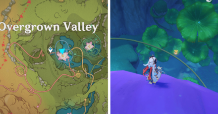 Genshin - Voucher Box 14