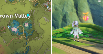 Genshin - Voucher Box 10