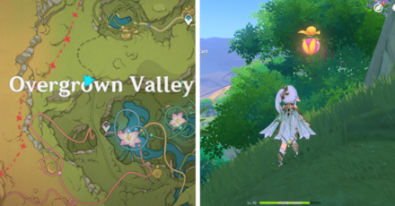 Genshin - Voucher Box 12