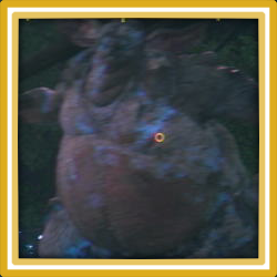 FF16 - Akashic Gigas Guide