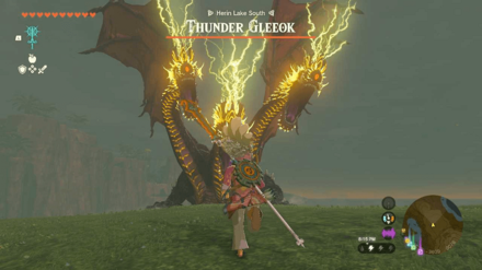 Zelda Tears of the Kingdom TotK - Herin Lake Thunder Gleeok Overworld Location