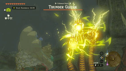 Zelda Tears of the Kingdom TotK - Thunder Gleeok Fight