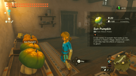 TOTK - Hateno Sun Pumpkin