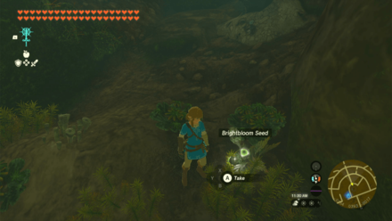 TOTK - Brightbloom Seeds