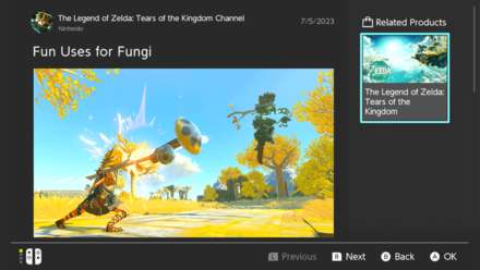 Tears of the Kingdom TOTK - Switch News Channel