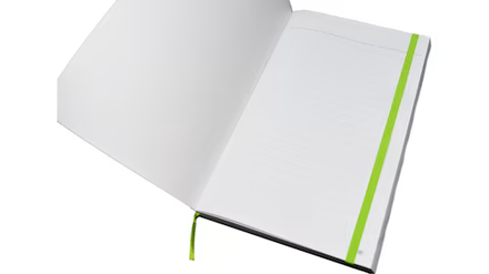 Pikmin 4 - Pikmin Logo Collection Journal