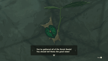 TotK - Collect All Korok Seeds