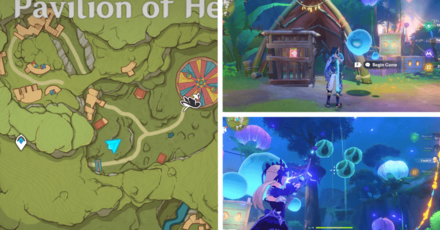 Genshin - Voucher Box 24