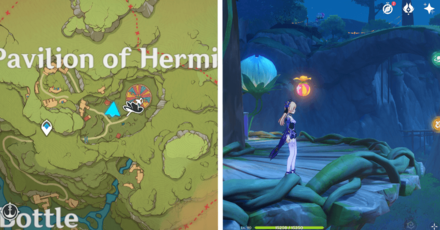 Genshin - Voucher Box 25