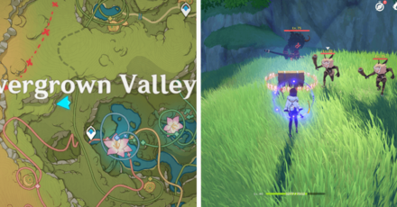 Genshin - Veluriyam Mirage - Common Chest 11